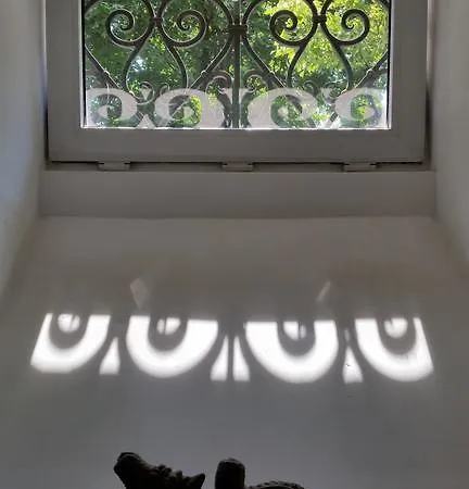 Pod Labedziem * Krakow